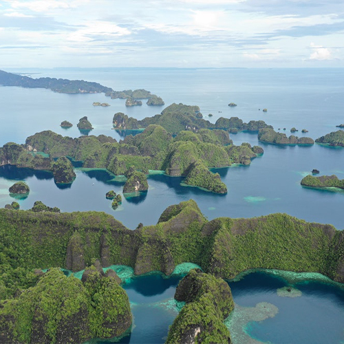wisata